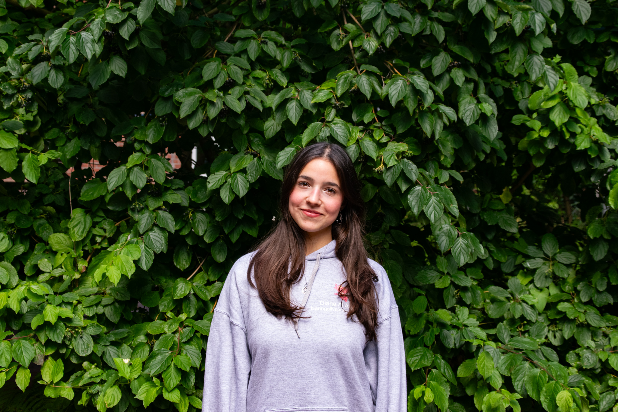 Diana Al Allaf